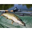 Μηχανισμός Baitcasting Filstar Sting 101L