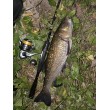 Filstar 365 Chub