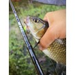 Filstar 365 Chub
