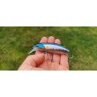 Wobbler Sea Buzz The Catcher
