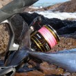 Okuma Inspira reel