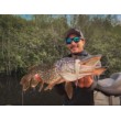 Воблер Rattlin' Pop - floating