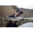 Воблер Rattlin' Pop - floating