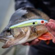 Wobbler Rattling Sting Deep Runner
