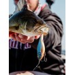 Rapala X-Rap Twitchin' Shad Wobbler