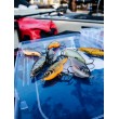Rapala X-Rap Twitchin' Shad Wobbler