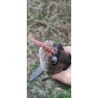 Силикон May Fly