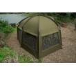 Cort Fox Frontier X+