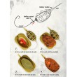 FilStar InLine Method Feeder Set