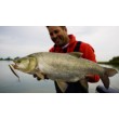 Rapala Precision Xtreme Pencil