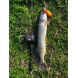 Καρούλι Baitcasting Okuma Komodo SS