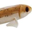 Σιλικόνη Westin Twinteez Pelagic V-Tail R 'NR