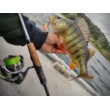 Lazer L8 Evolution Fluo Green