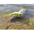 Rapala Super Shadow Rap Glide