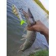 Rapala Super Shadow Rap Glide