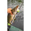 Rapala Super Shadow Rap Glide