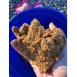 DB Swim Stim Feeder Formula Method Mix