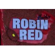 Groundbait DB Robin Red Method Mix