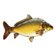 Decorațiune de perete EuroCatch 3D cu crap