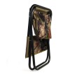 Chair With Backrest, Bag And Carrying Strap EuroCatch