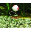 DB Boilie Pop Ups Two Tone - Bananas & Krill
