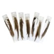Wild duck feathers