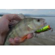 Воблер Ultra Light Pop