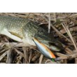 Shadow Rap Shad Wobbler