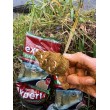 Захранка FilStar Река Formaggio