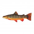 Cushion Common Carp