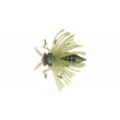 Σιλικόνη BB - Χωρίς Look Bug