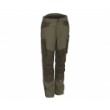 Kinetic Forest Pant