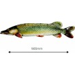 Wall Decoration EuroCatch 3D Pike