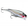 BX Minnow