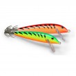Calamar Rapala