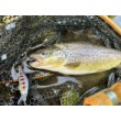 Воблер Shadow Rap Solid Shad