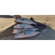 Wobbler Sea Buzz Panic Tail 95F