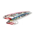 SeaBuzz Jig ZD-001