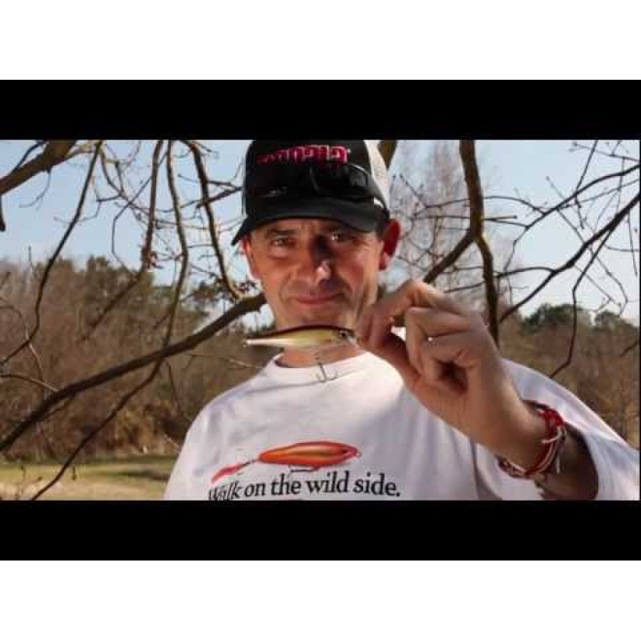 BX Minnow