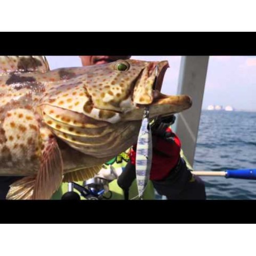 Pilker Storm Gomoku Koika Jig