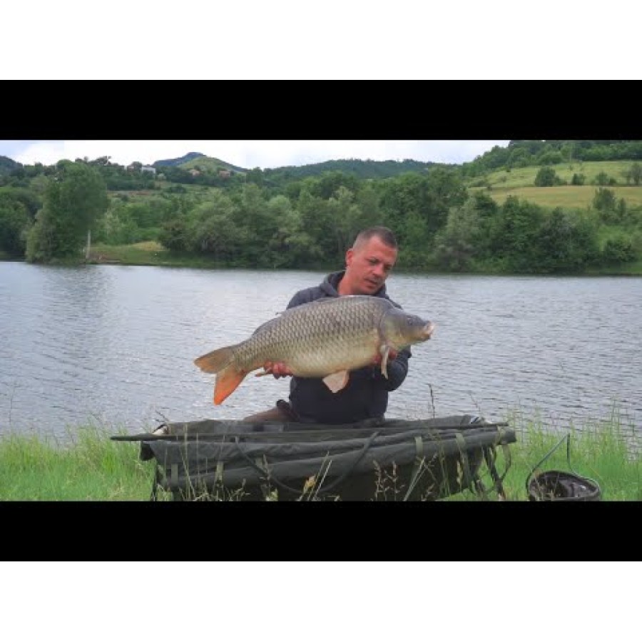 Плуващи топчета Pop-Ups FilStar Premium Carp