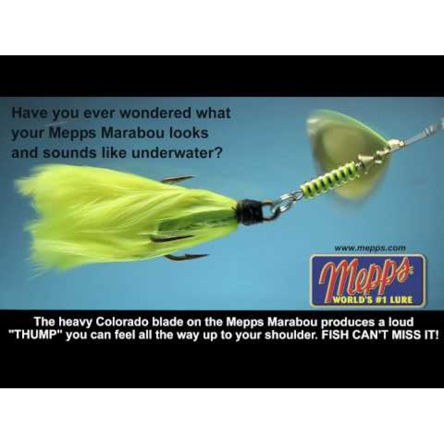 Giant Marabou