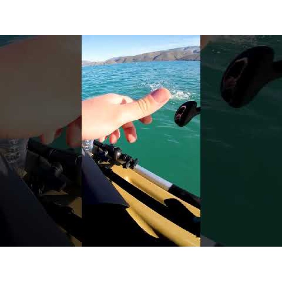 Sea Buzz Humpback Wobbler