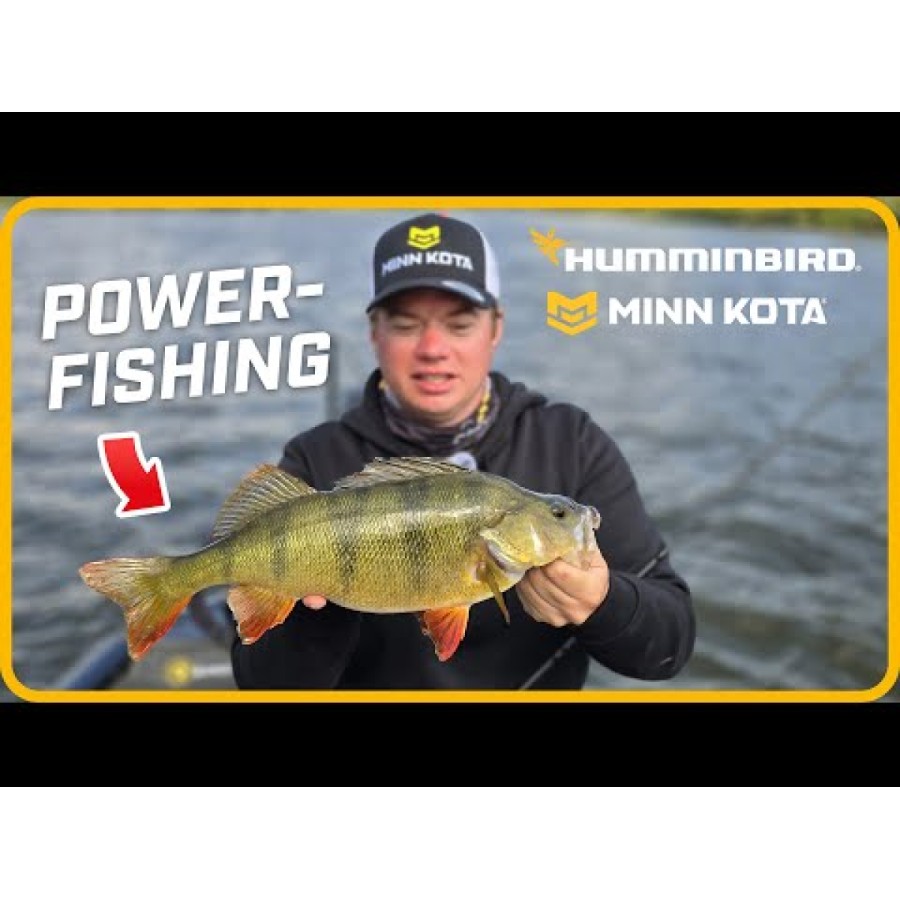 Minn Kota Riptide Terrova WR