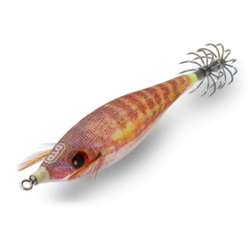 DTD Kanjac